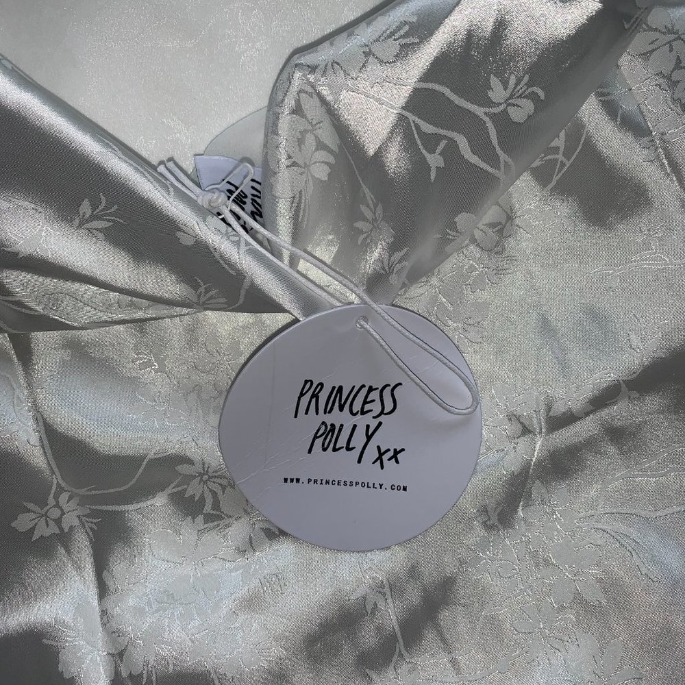 BNWT Princess Polly Cianna Mini Dress - Picture 3 of 4